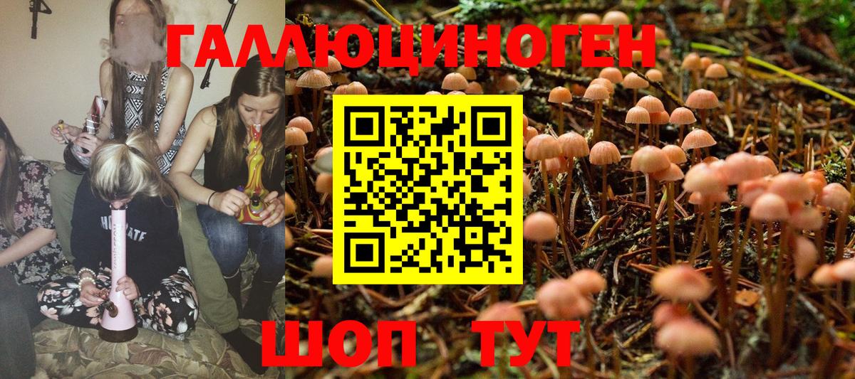 Галлюциногенные грибы Magic Shrooms  Вход с VPN  Наро-Фоминск  купить  сайты  Псилоцибиновые грибы Psilocybe 