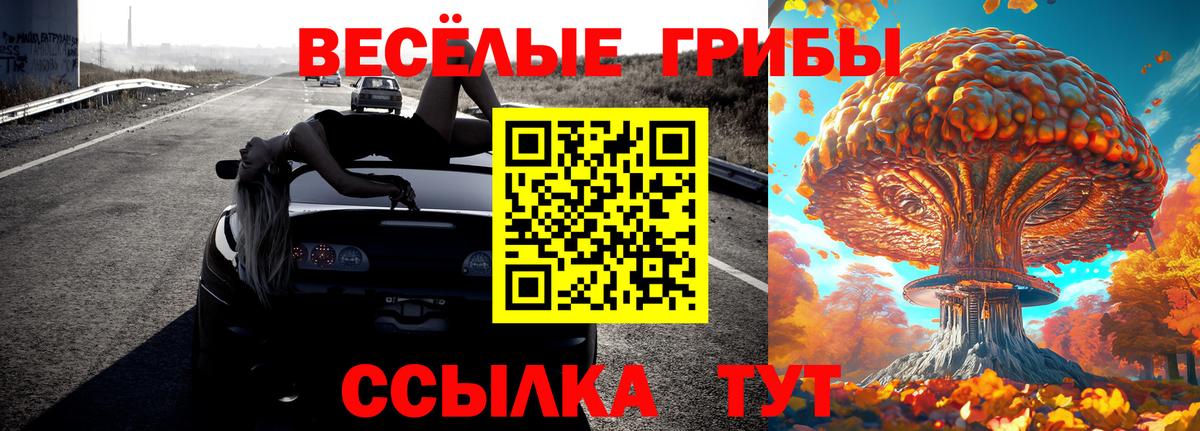 А ПВП Наро-Фоминск